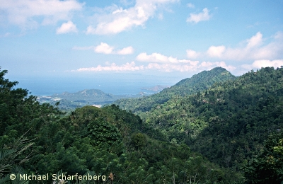 Landschaft in Ostbali