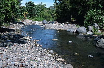 Fluß in Bali
